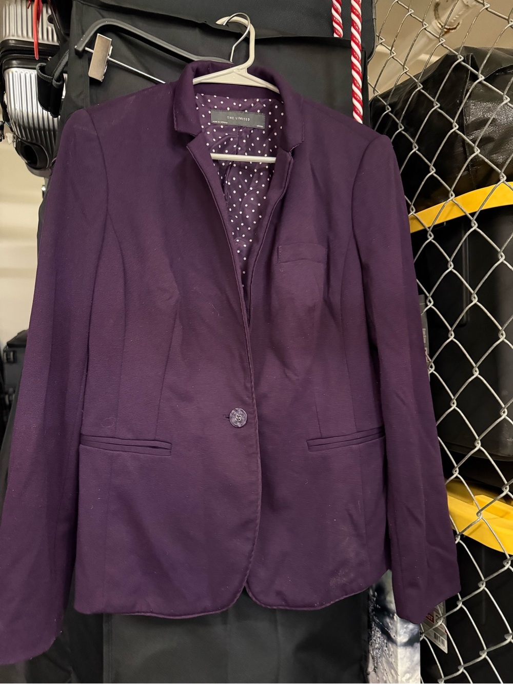 The Limited Plum Purple Tailored Blazer Jacket